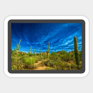 Saguaro National Park Sticker